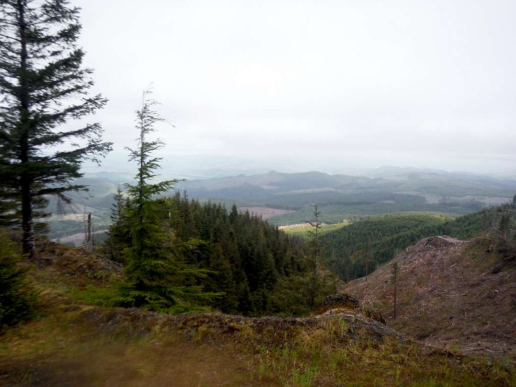 Typical view from a clearcut