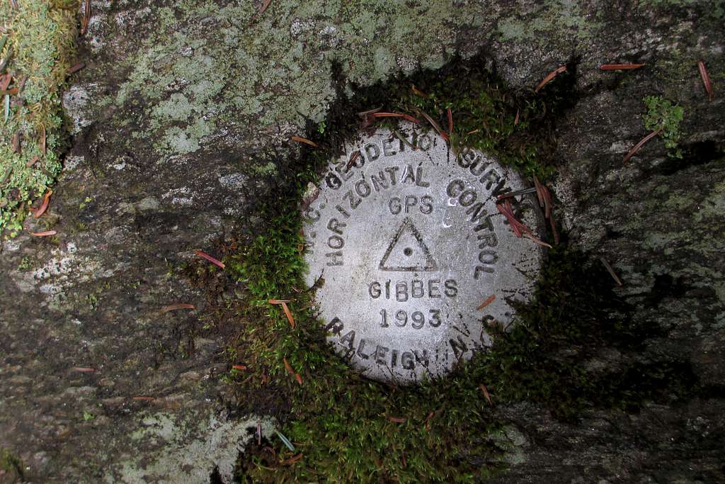 Mount Gibbes Benchmark