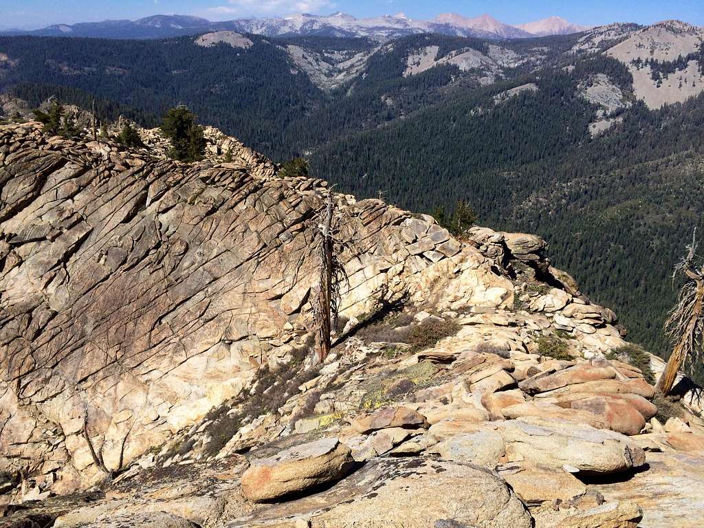 View of ridge N. of Summit