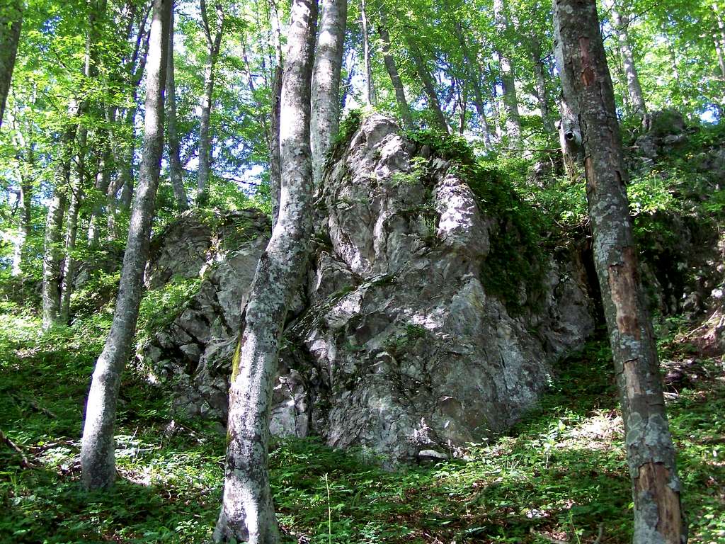 Limestone rock near Tourist Hut Gospodicna