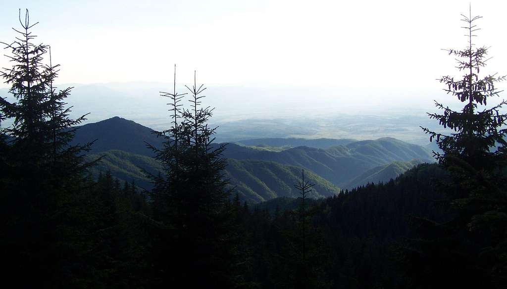 View of the valley of Crișul Negru