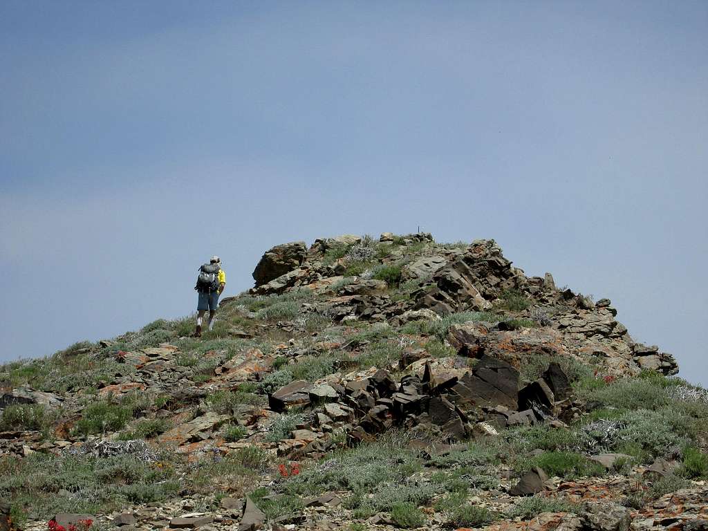 Eric heads for Peak 7991 summit