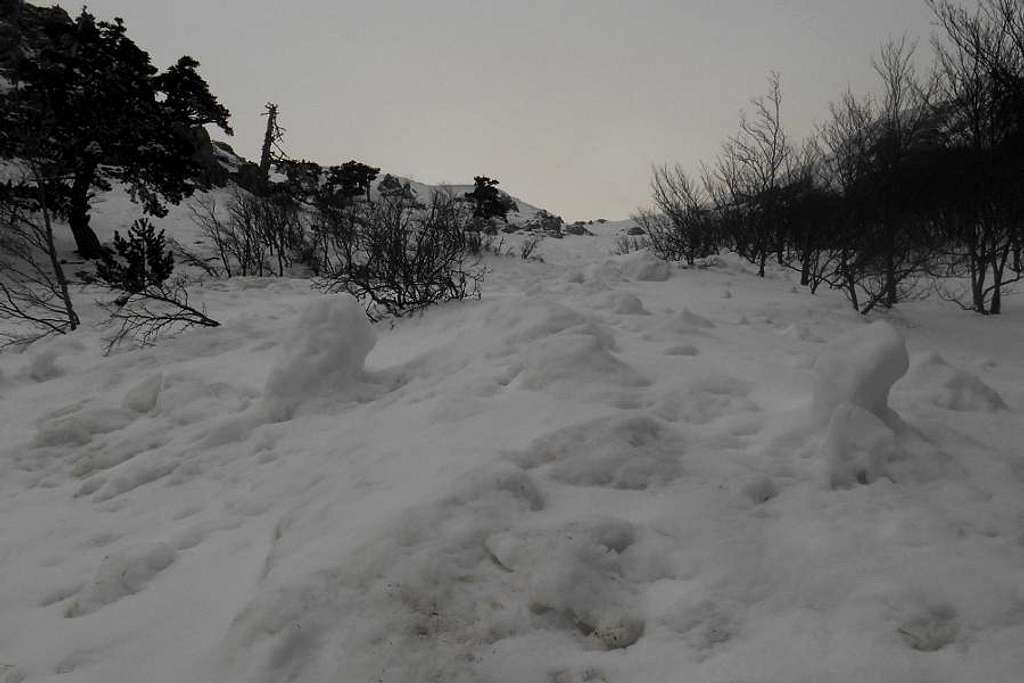 Result of a minor avalanche (Mt. Pollino west face)