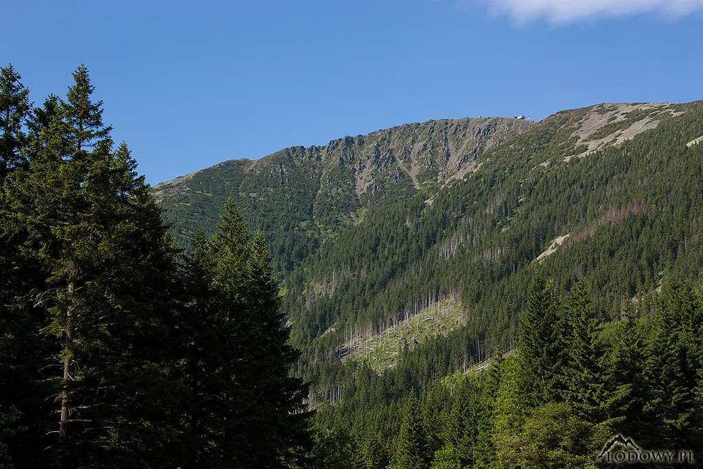 Mount Snezka from Obri Dul