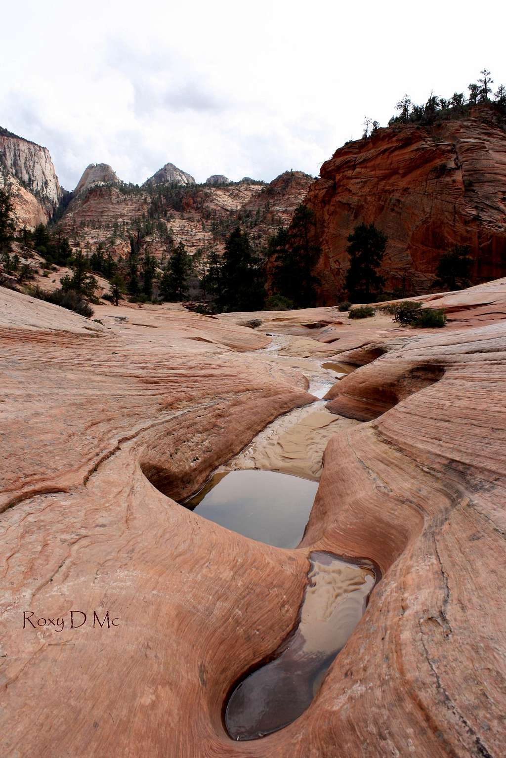 Zion National Park