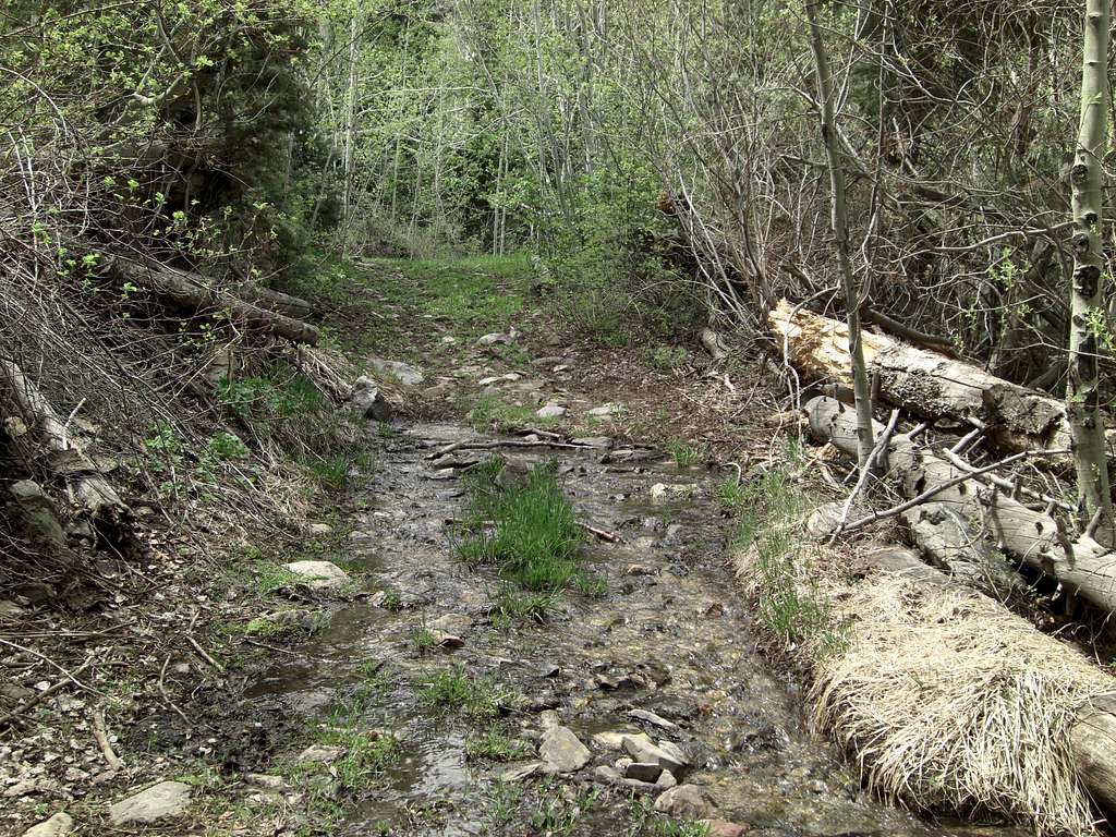 Ibapah Trail Creek 2