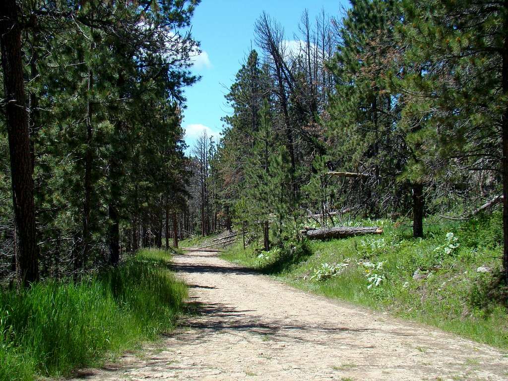 The trail up Flag Mountain