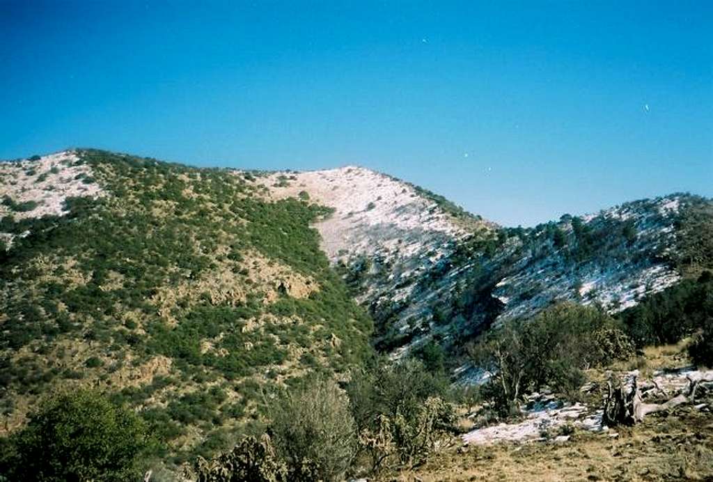 A view of Reiley Peak.