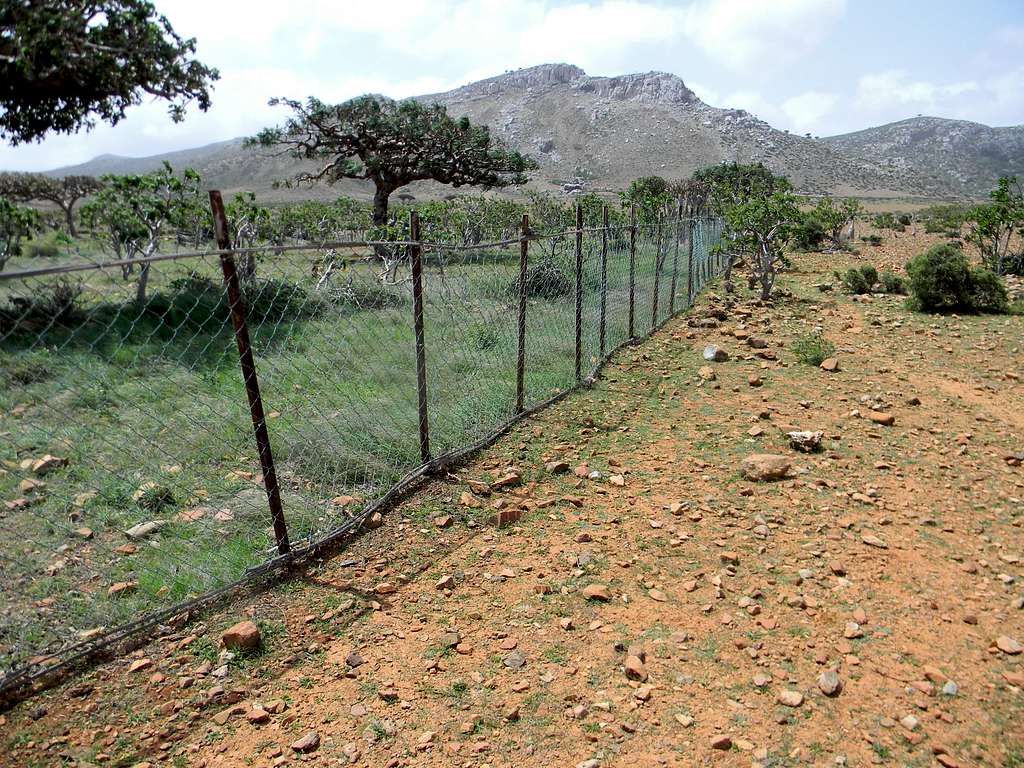 Homhil Protected Area plot without Goats