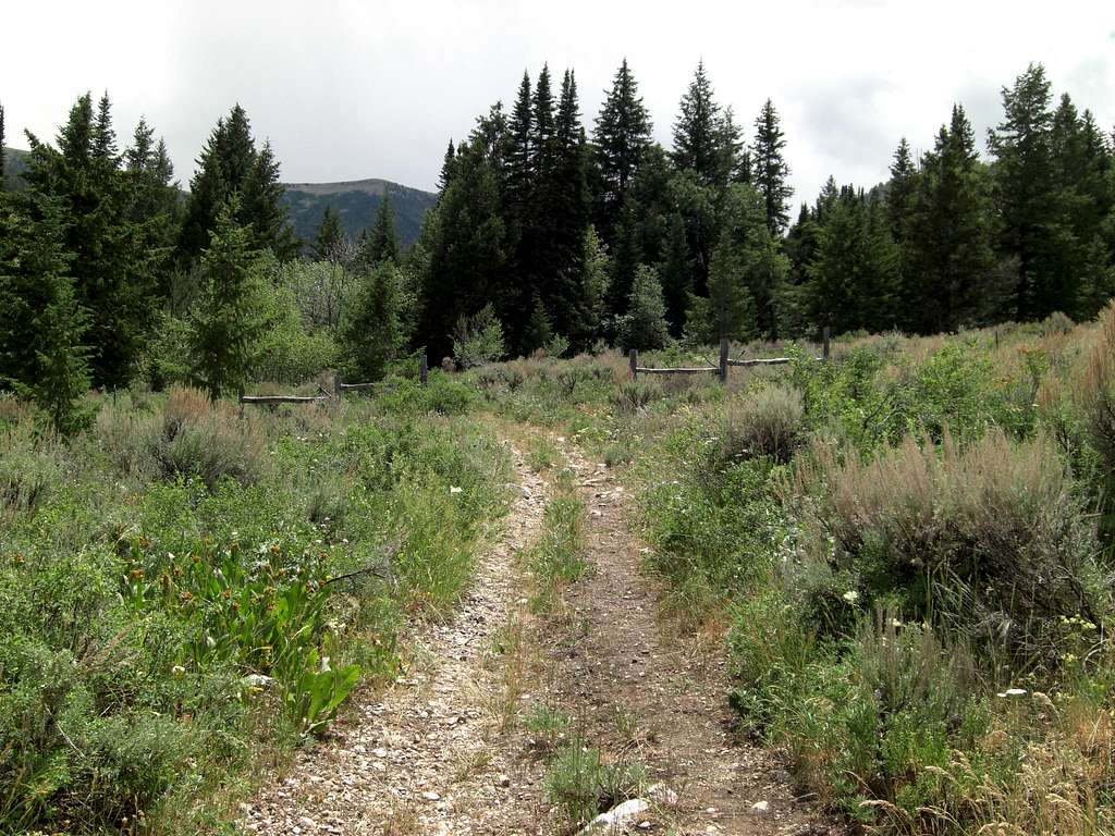 Bull Mountain Trail Low