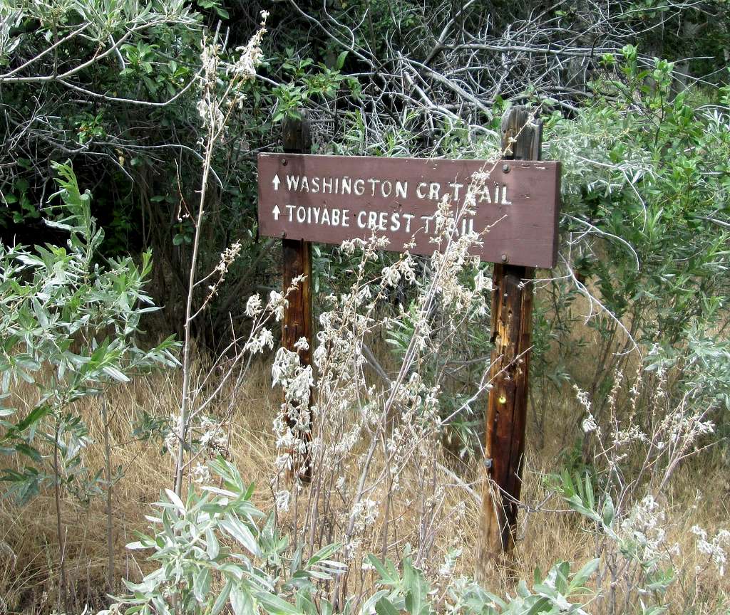 Sign for our trail