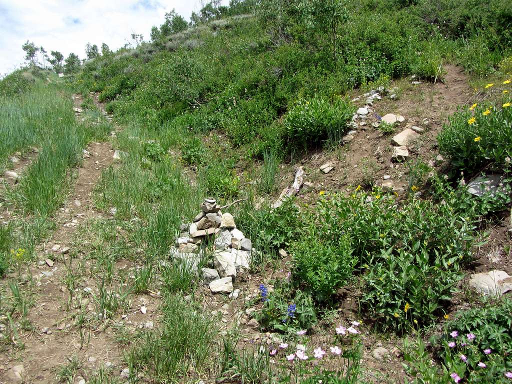 Provo Peak trail cairn