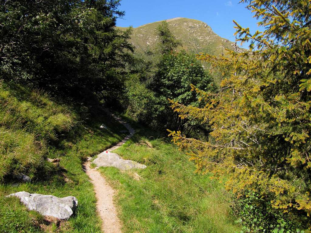 Cima Gaggio (2267m) as seen from the trail to Albagno
