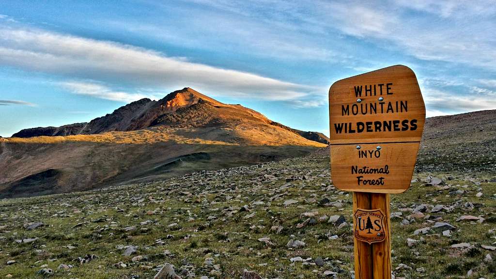 Wilderness sign and White Mountain Peak behind