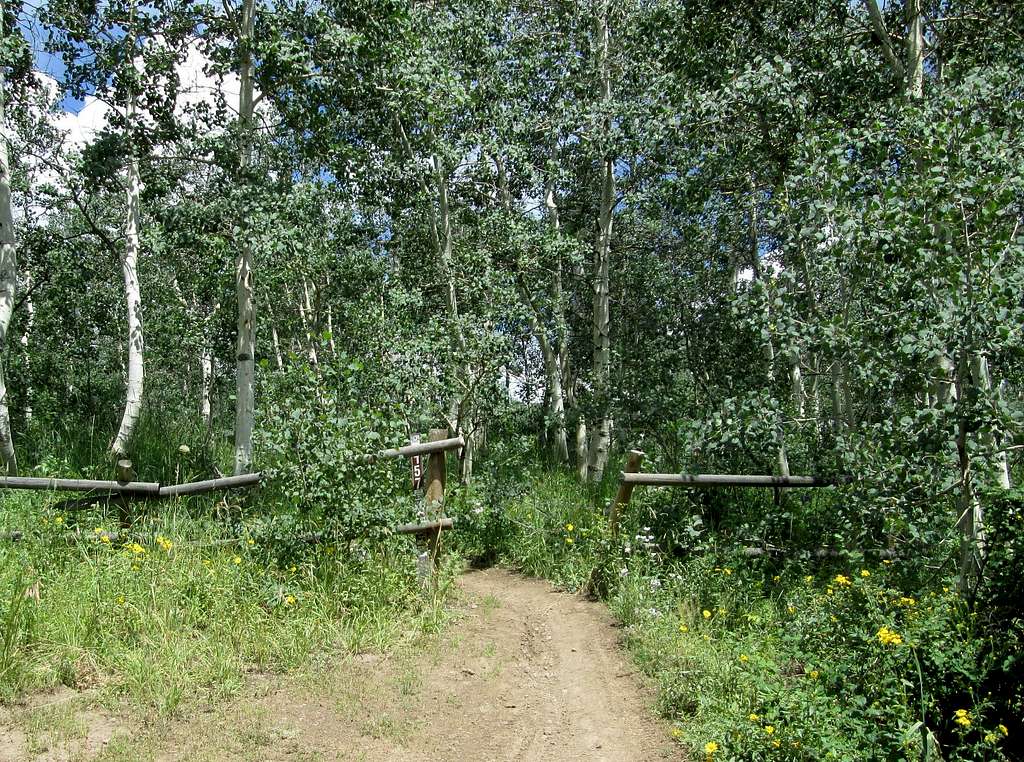 Trail to Ant Knolls at Pole Line Pass