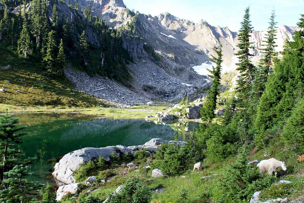 Scenery in Olympic National Park