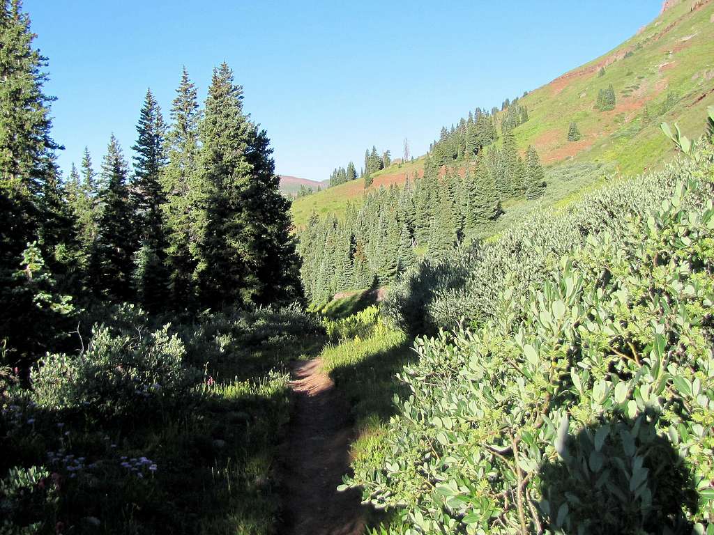 On Colorado Trail