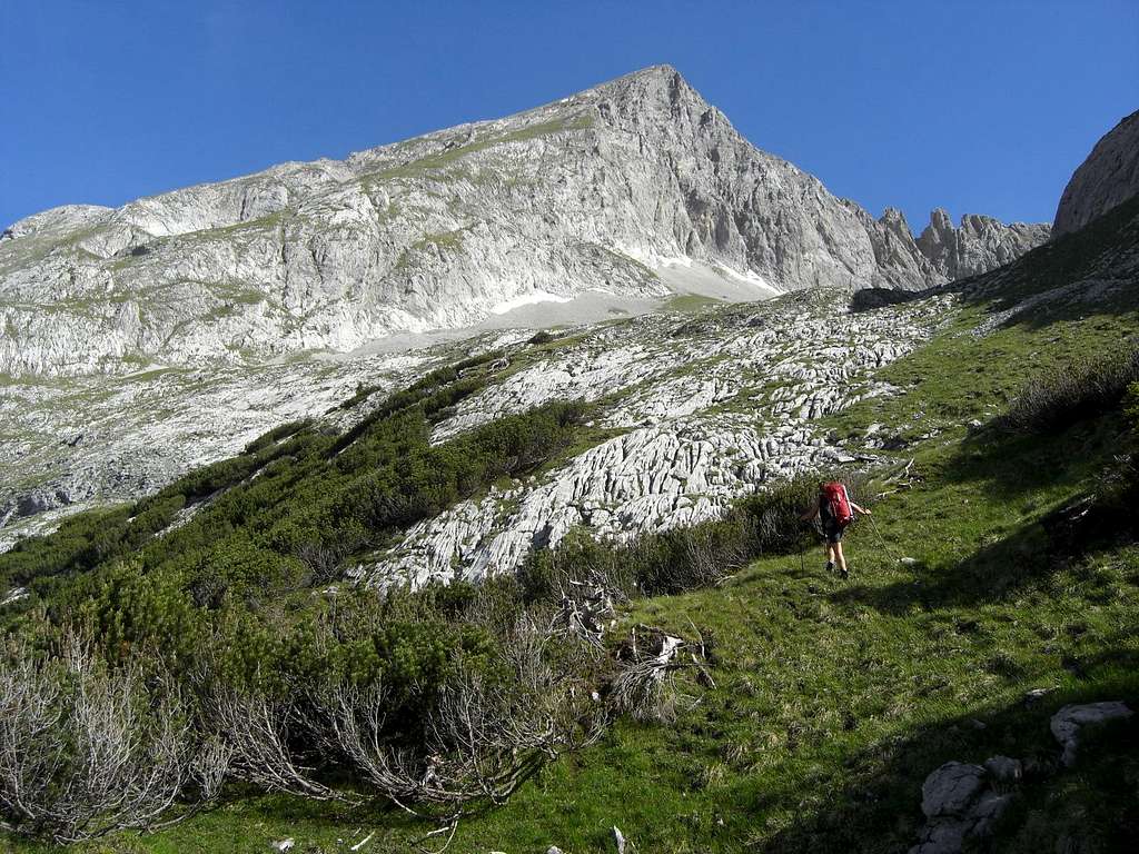 Vogelkarspitze