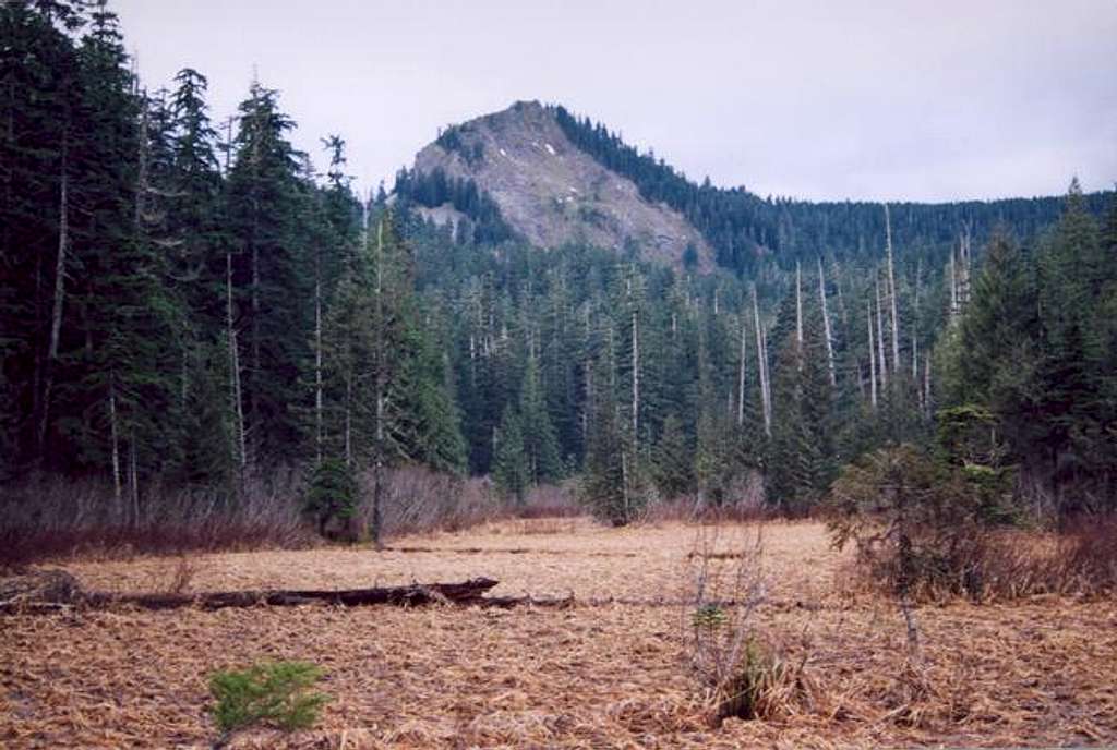 Summit view from Multnomah...