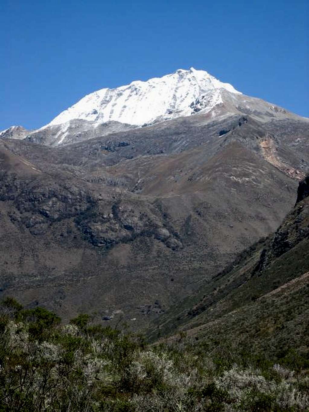 Ranrapalca from Quebrada Cayesh