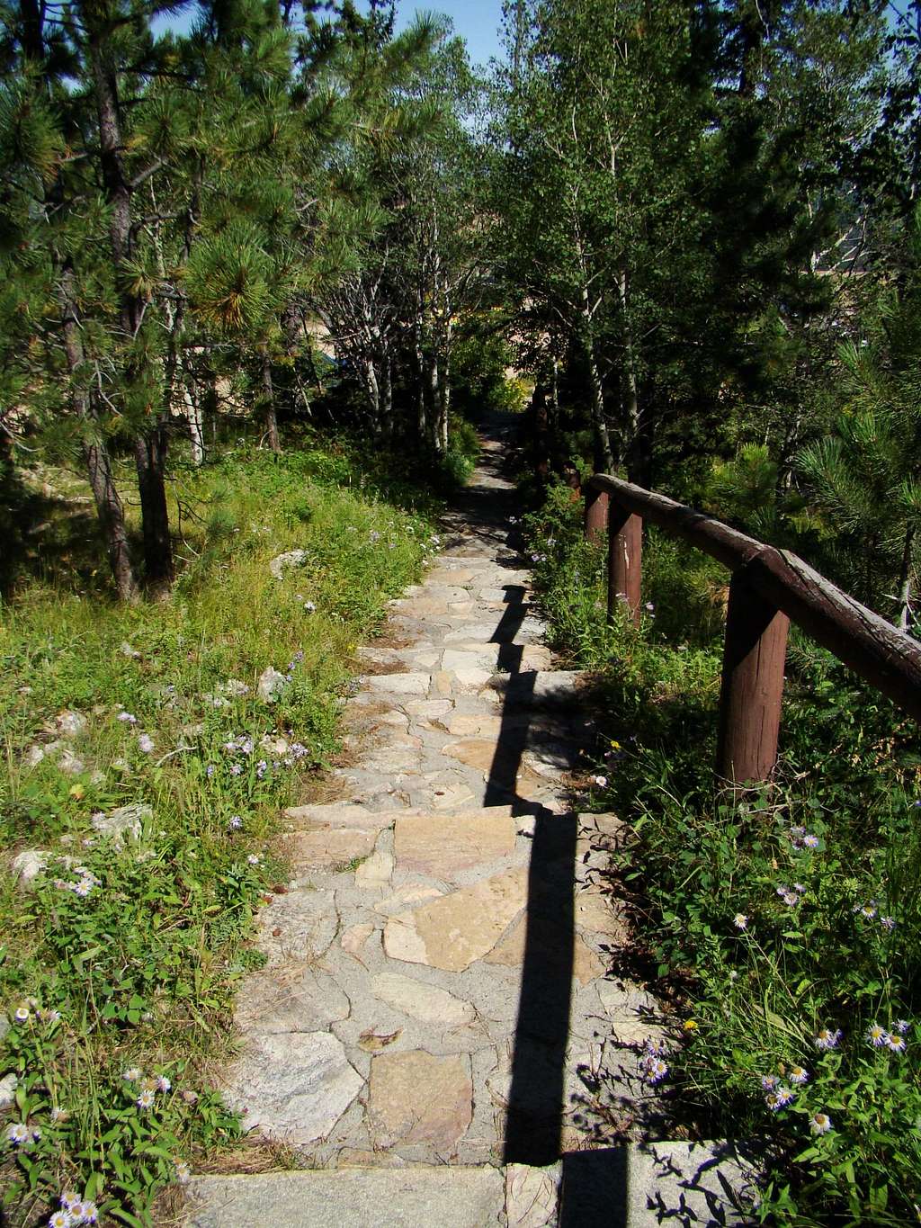 Terry Peak Summit Walkway