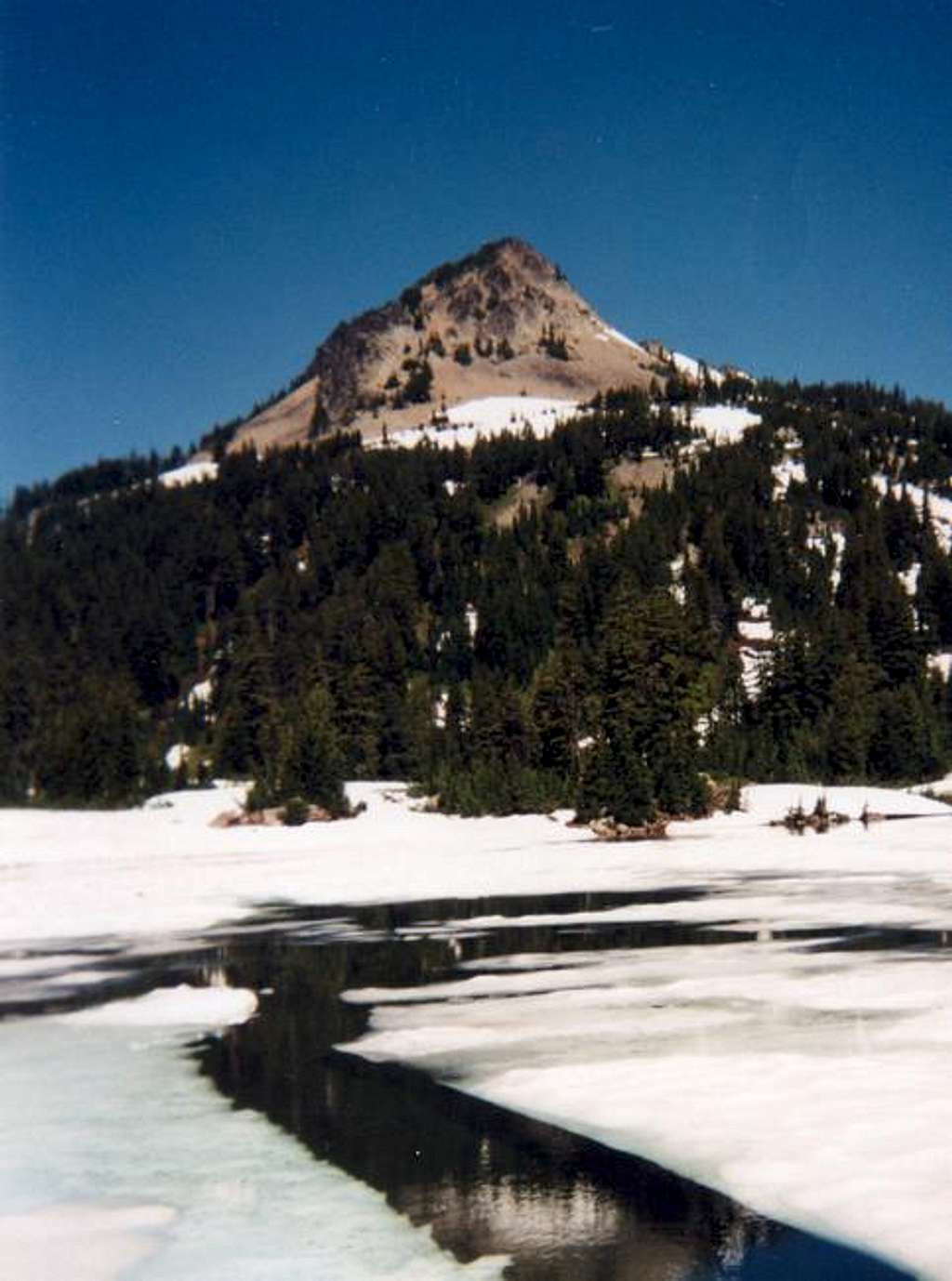 Mid July view of Park Butte...