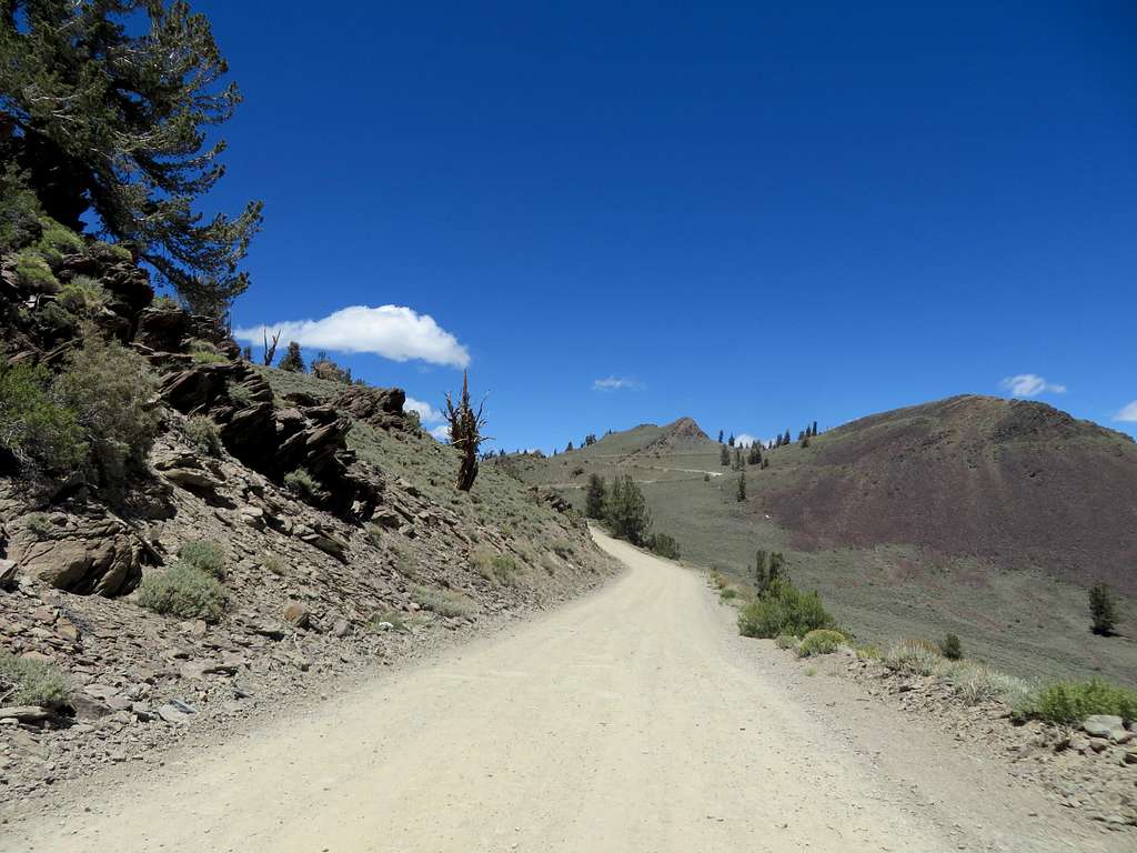 Road up to White Mountain