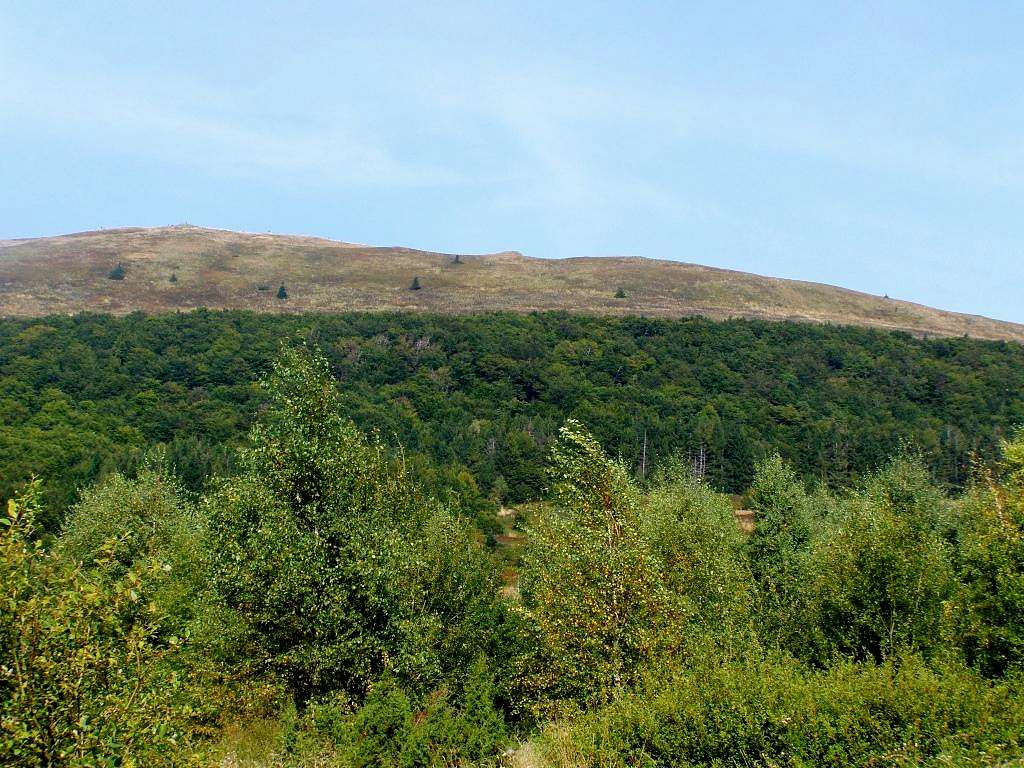 Mount Polonina Carynska (1297 m)