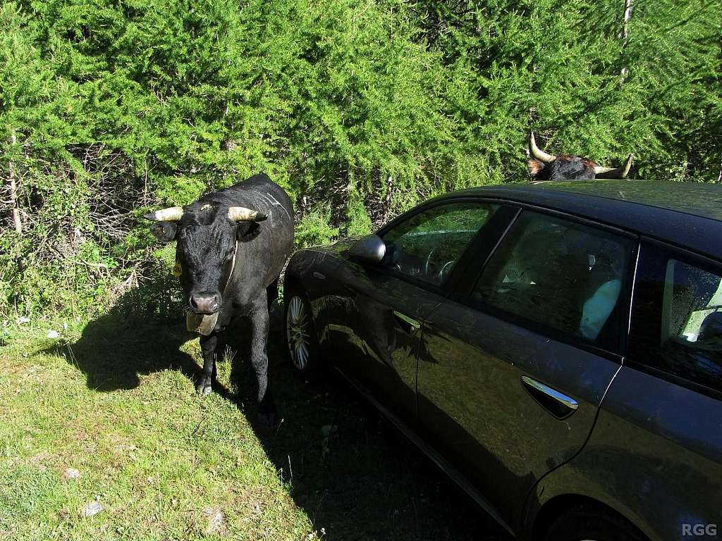 The dangerous designated parking lot at the entrance of the Grüobtälli, a side valley of the Turtmanntal