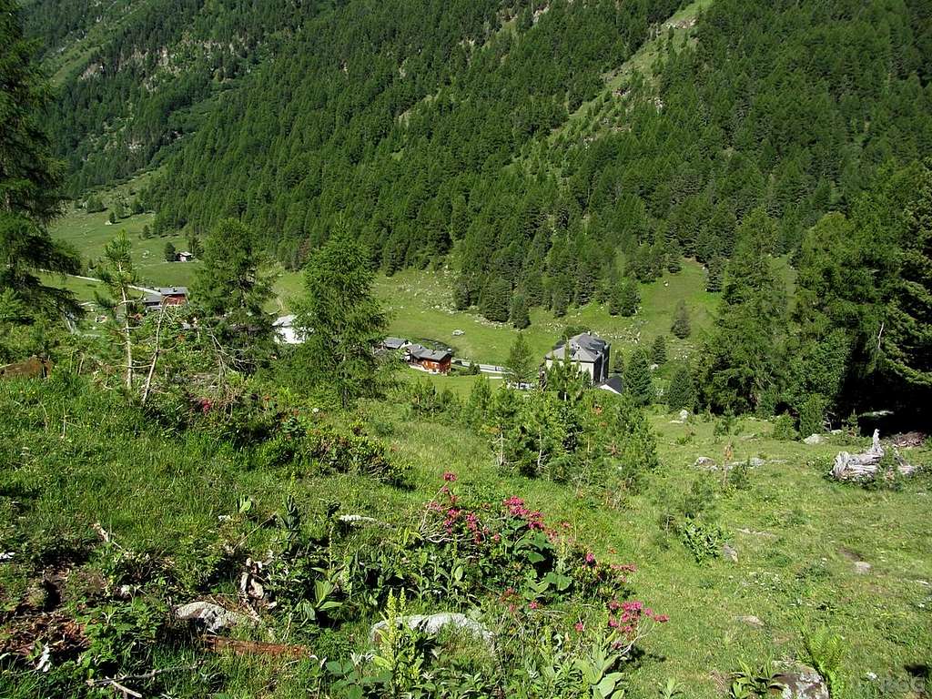 The geen slopes above Gruben, Turtmanntal
