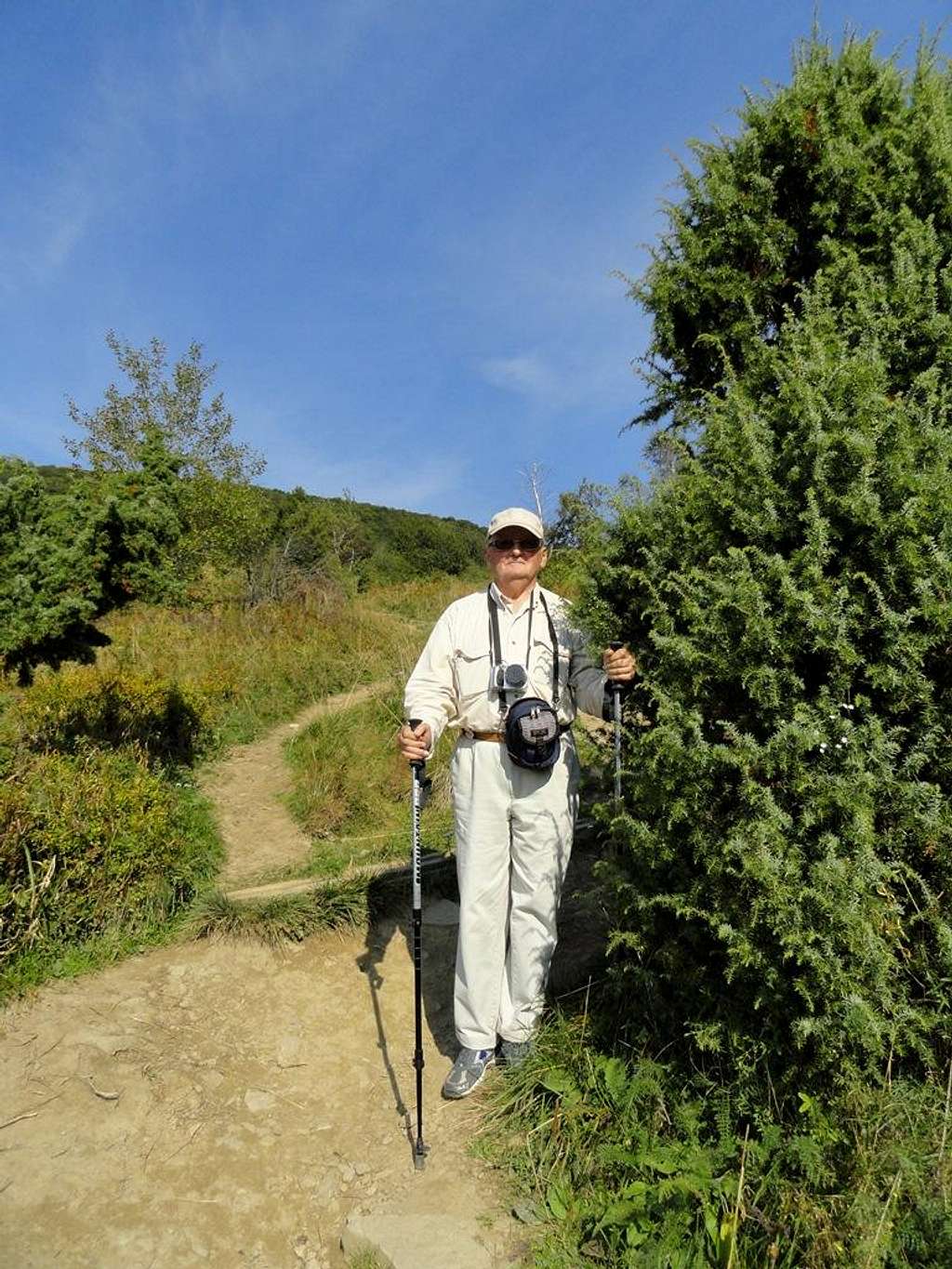 On the slope of Mount Polonina Carynska (1297 m)