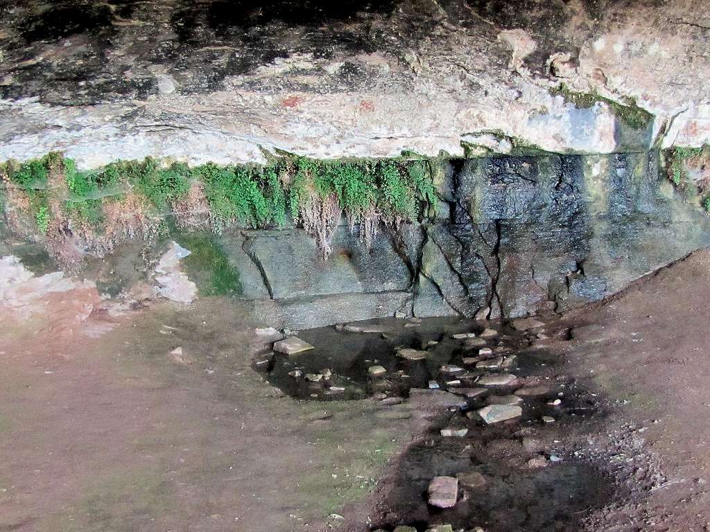 Cave Spring, water in the desert