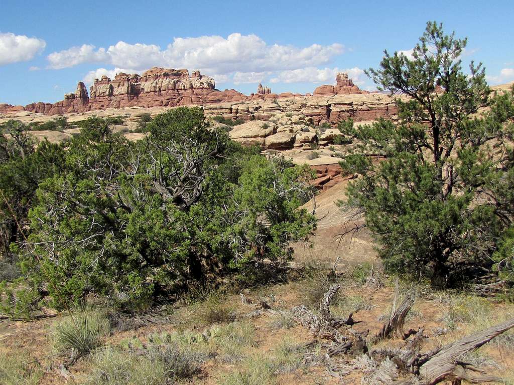 On Druid Arch Trail