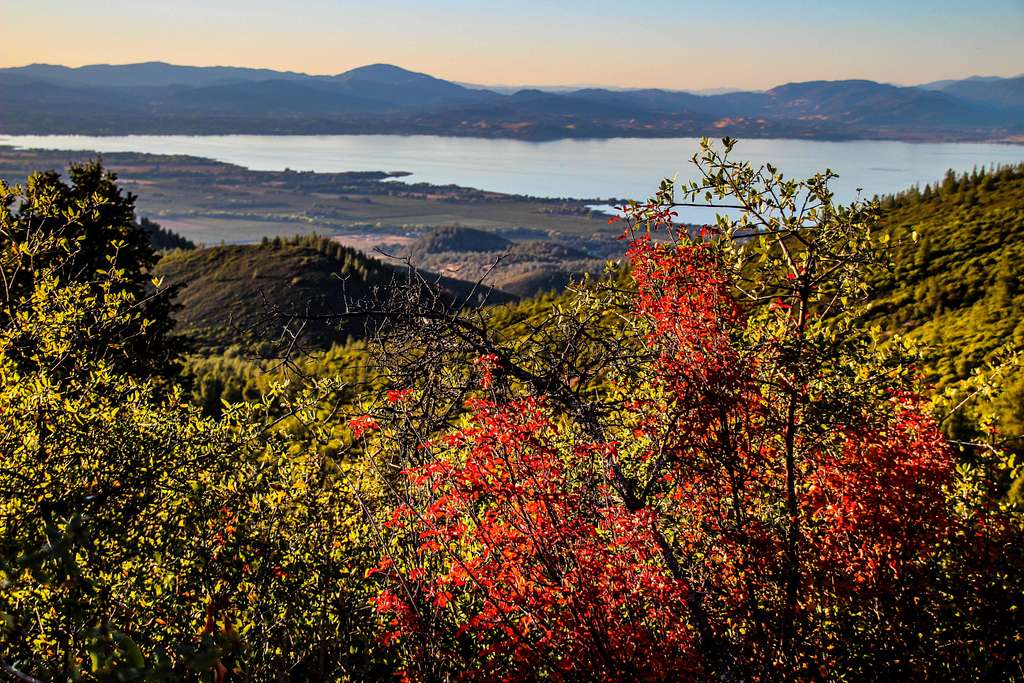 Autumn colors on Mt. Konocti