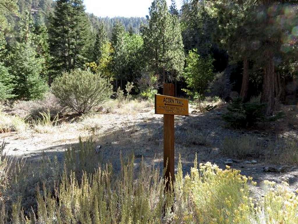Acorn Trail Sign