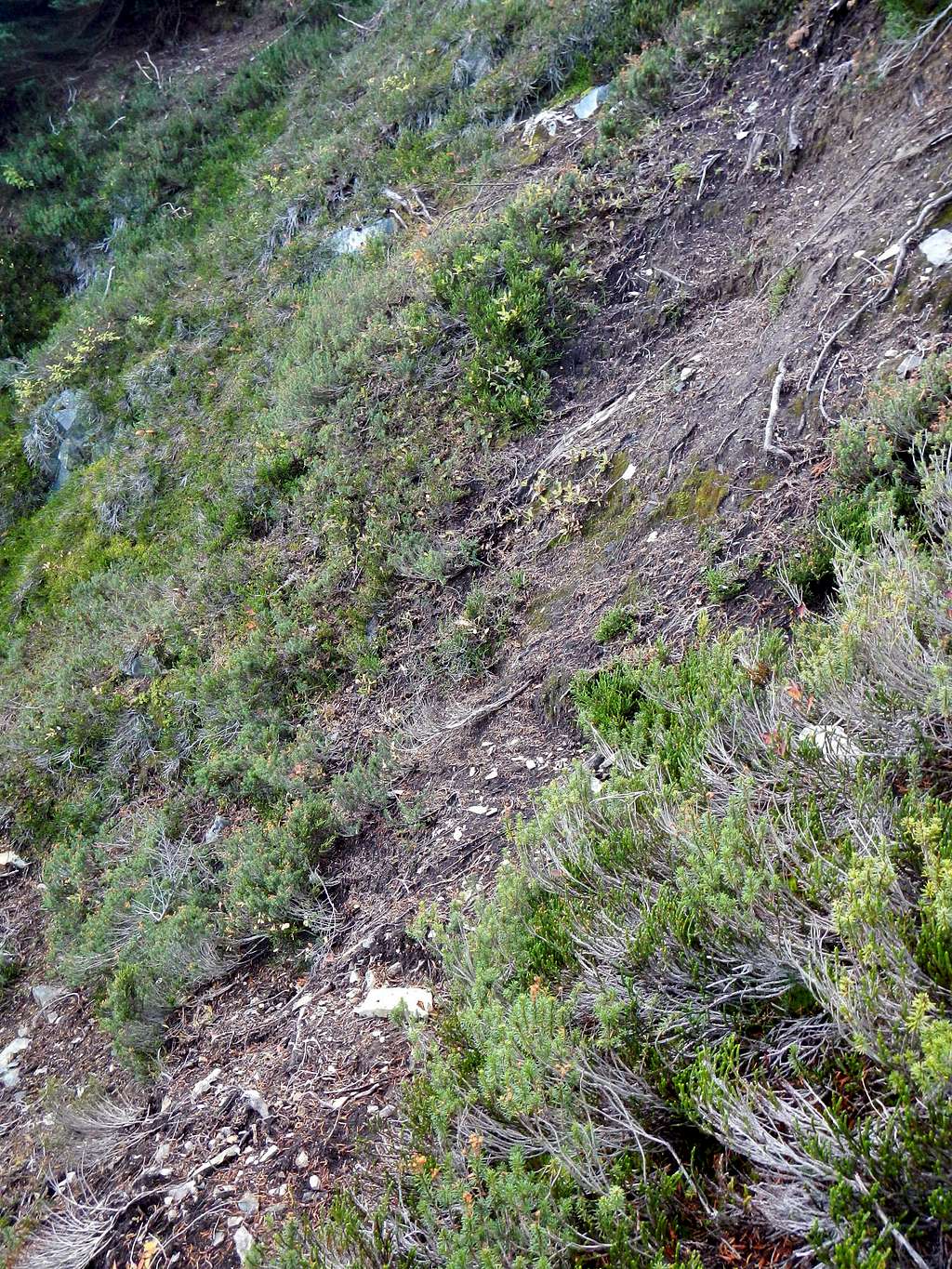 Steep Dirt Section