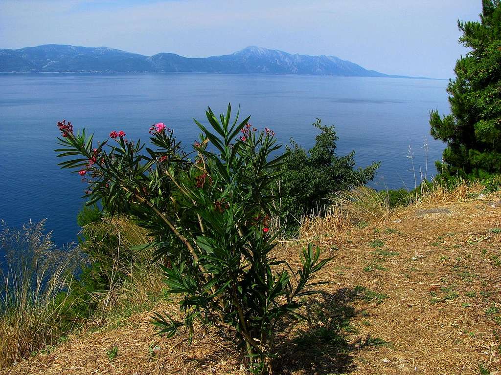 Toward Peljesac