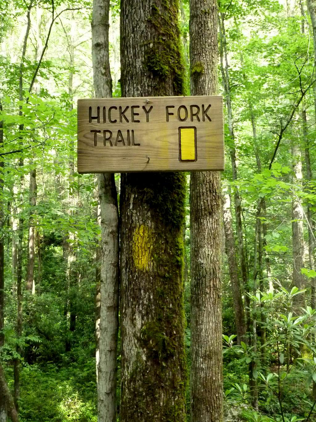 Hickey Fork Trailhead