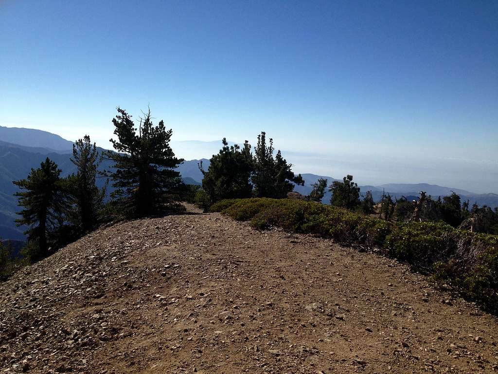 On top of Baden-Powell