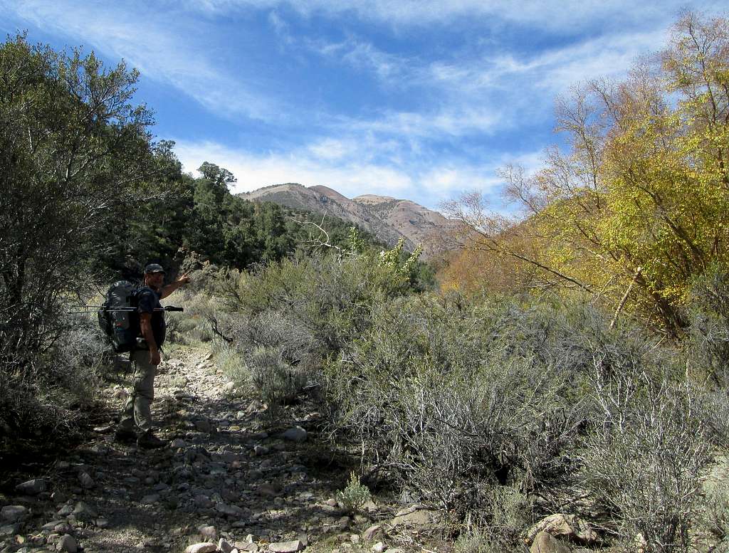 Trail in Jett Canyon