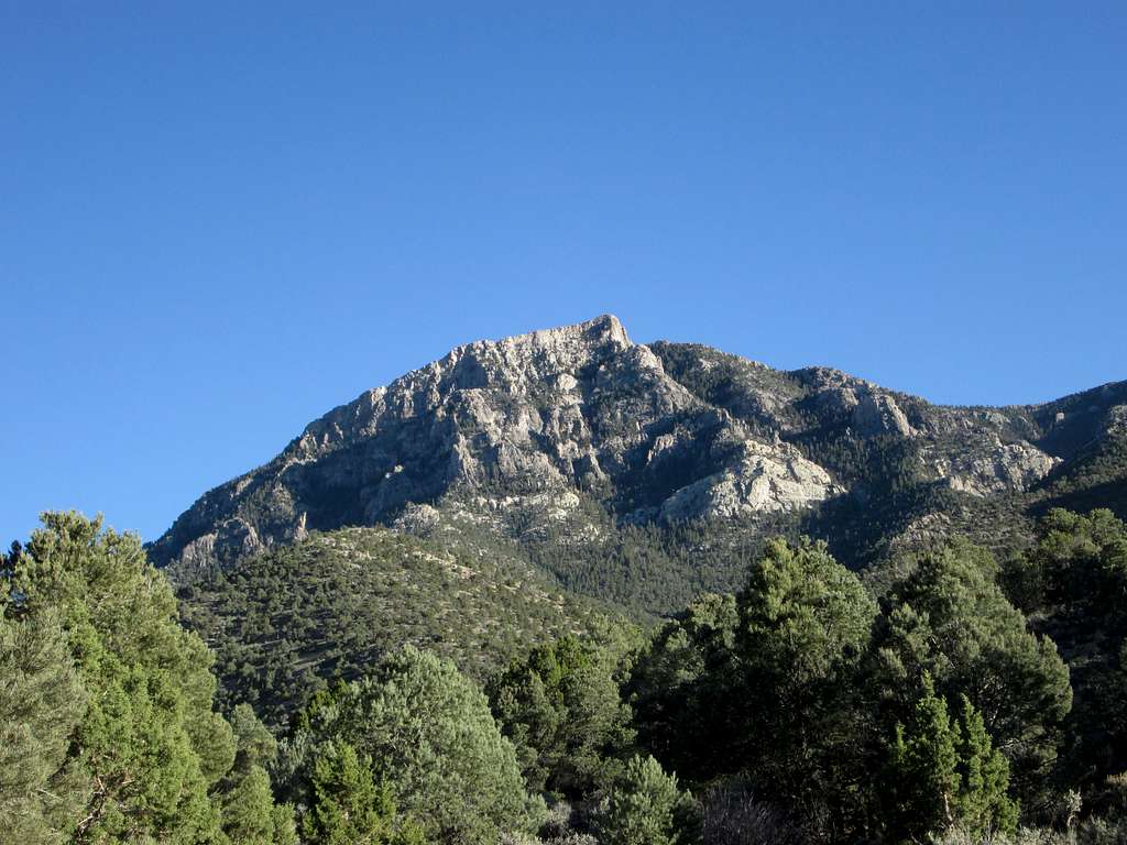Shingle Peak (NV)