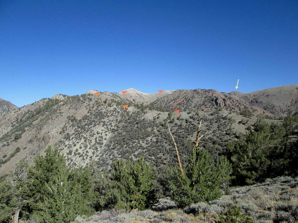 Route to Toiyabe Dome