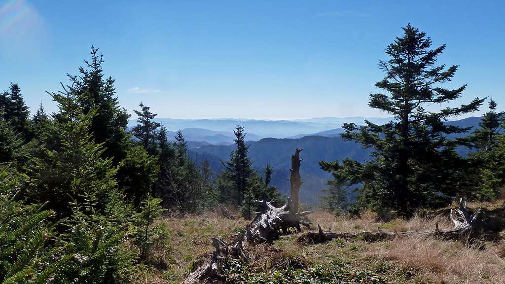View from near summit of LeConte
