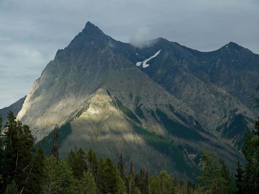 View After Rogers Pass