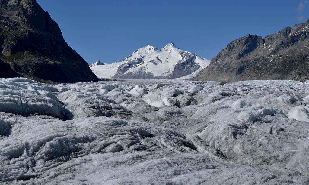 The mighty Grand Aletsh Glacier