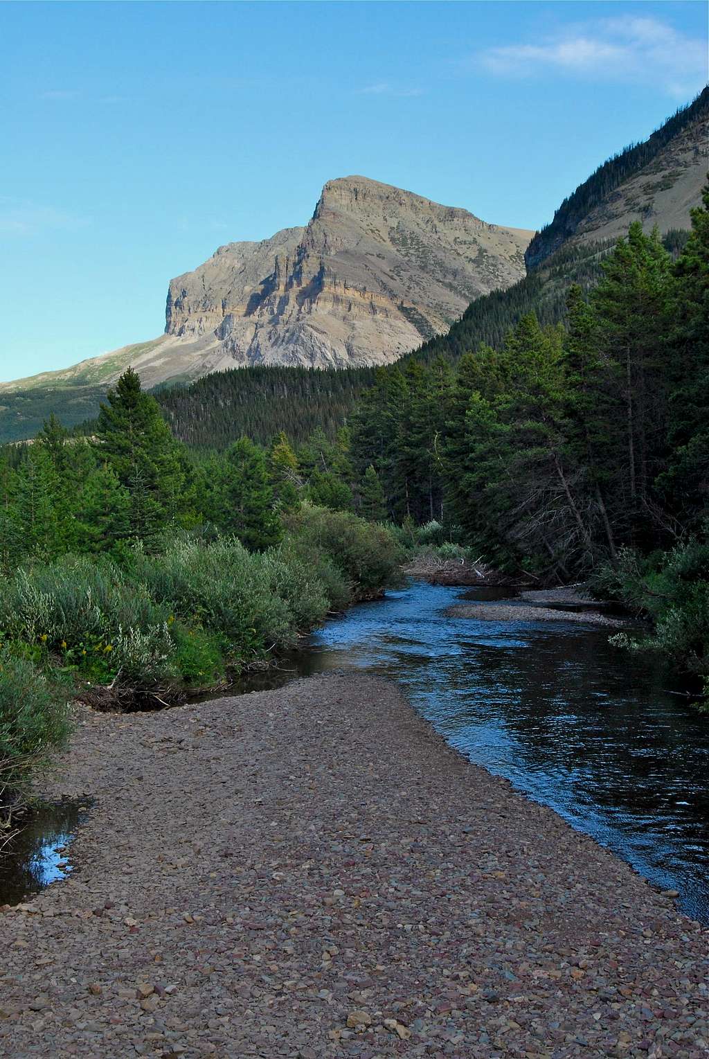 Wynn Mountain and Swiftcurrent Creek