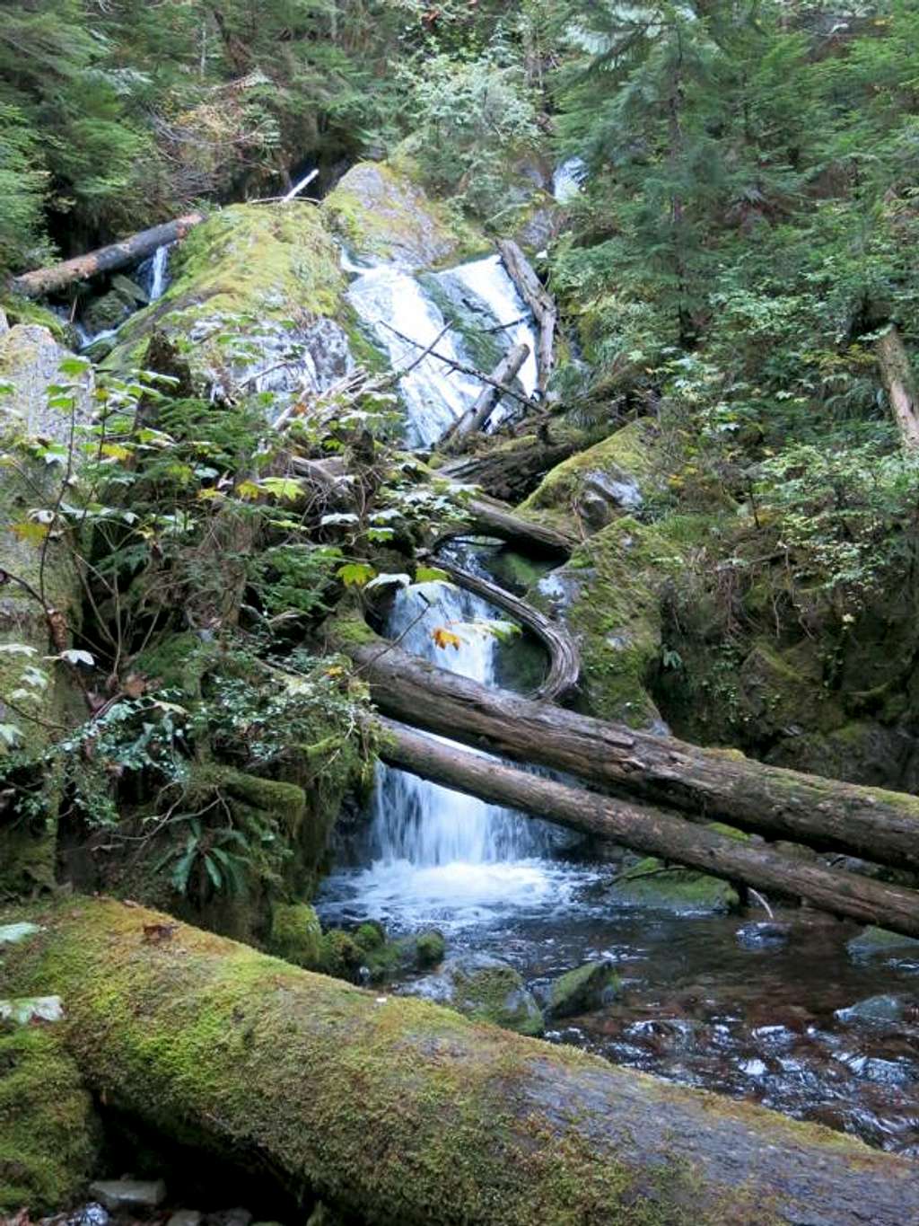 Waterfall on Sunrise Mine Trail