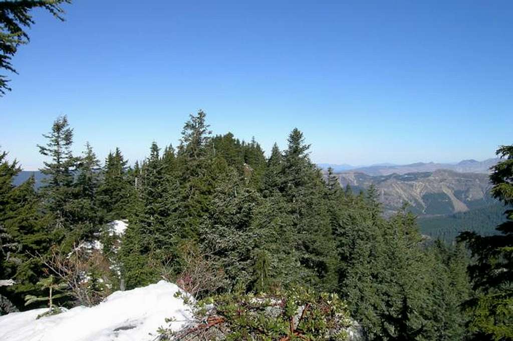 The view north from the summit.