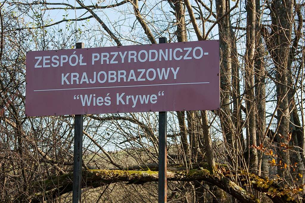 Krywe. Landscape and nature preserve
