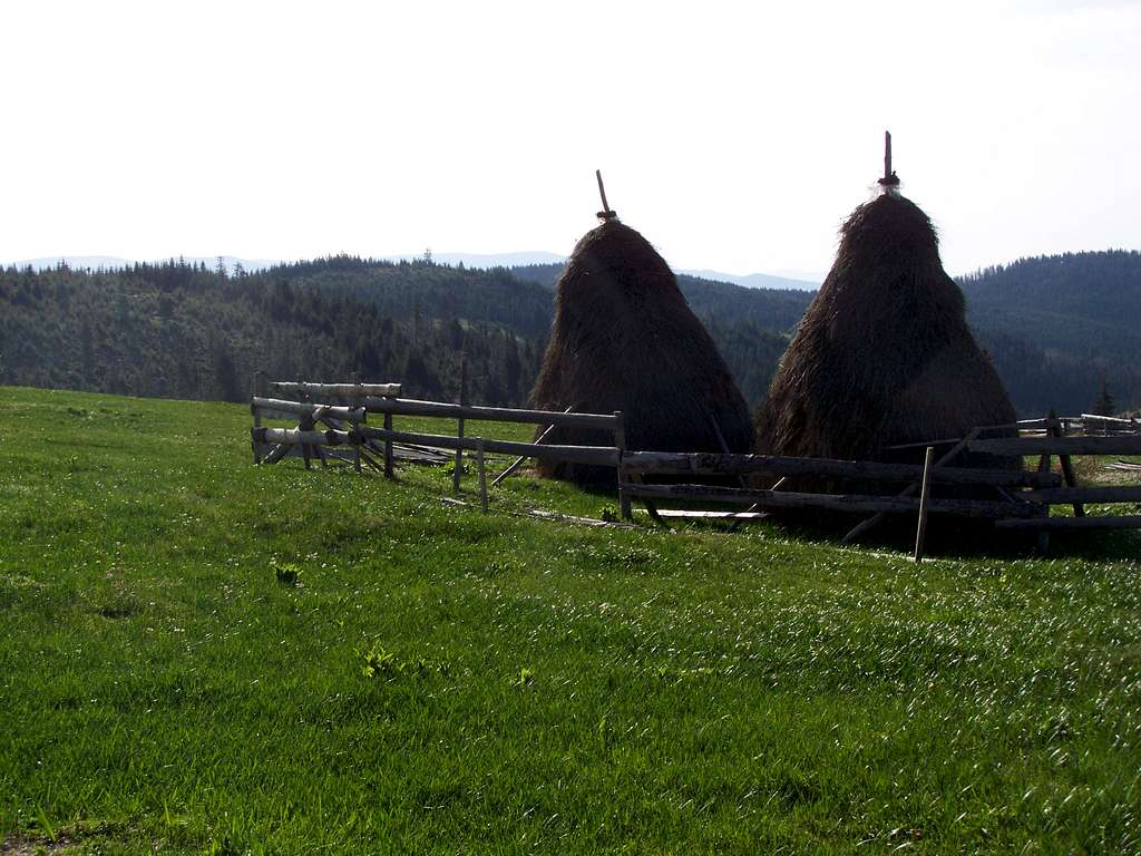 Haystacks on an Alpine farmland near Căţeilor